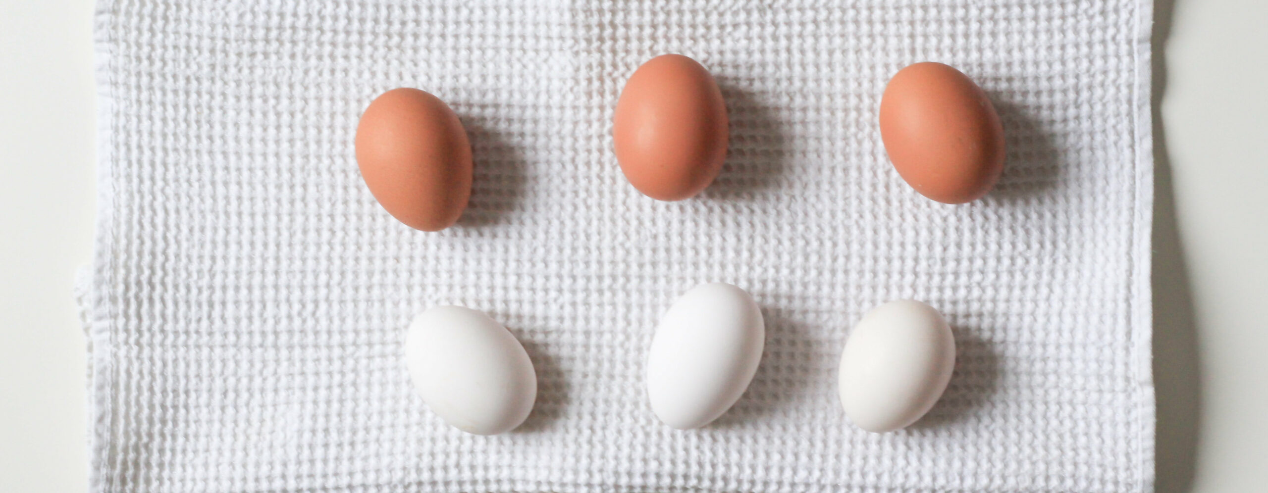 Drei weiße und drei braune Eier liegen auf einem Tuch