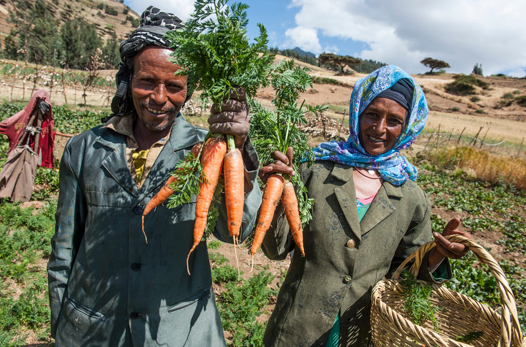 Äthiopische Menschen auf Feld mit Karotten