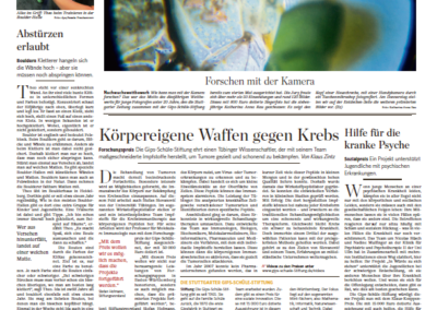 Artikel Stuttgarter Zeitung zum Forschungspreis 2019
