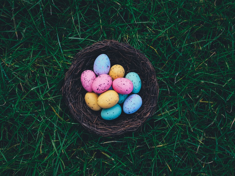 Osternest mit bunten Eiern, das im Rasen liegt