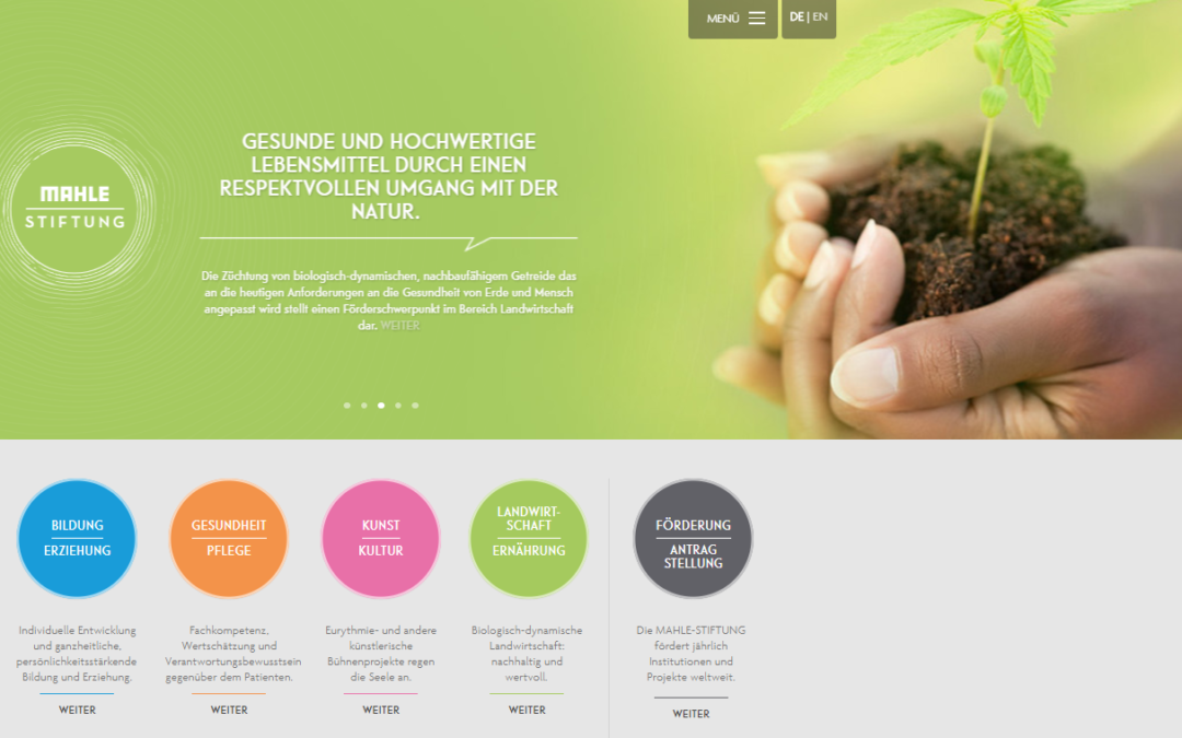 Screenshot Website MAHLE-Stiftung