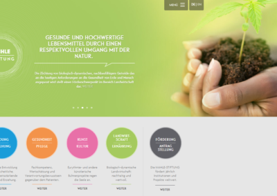 Screenshot Website MAHLE-Stiftung