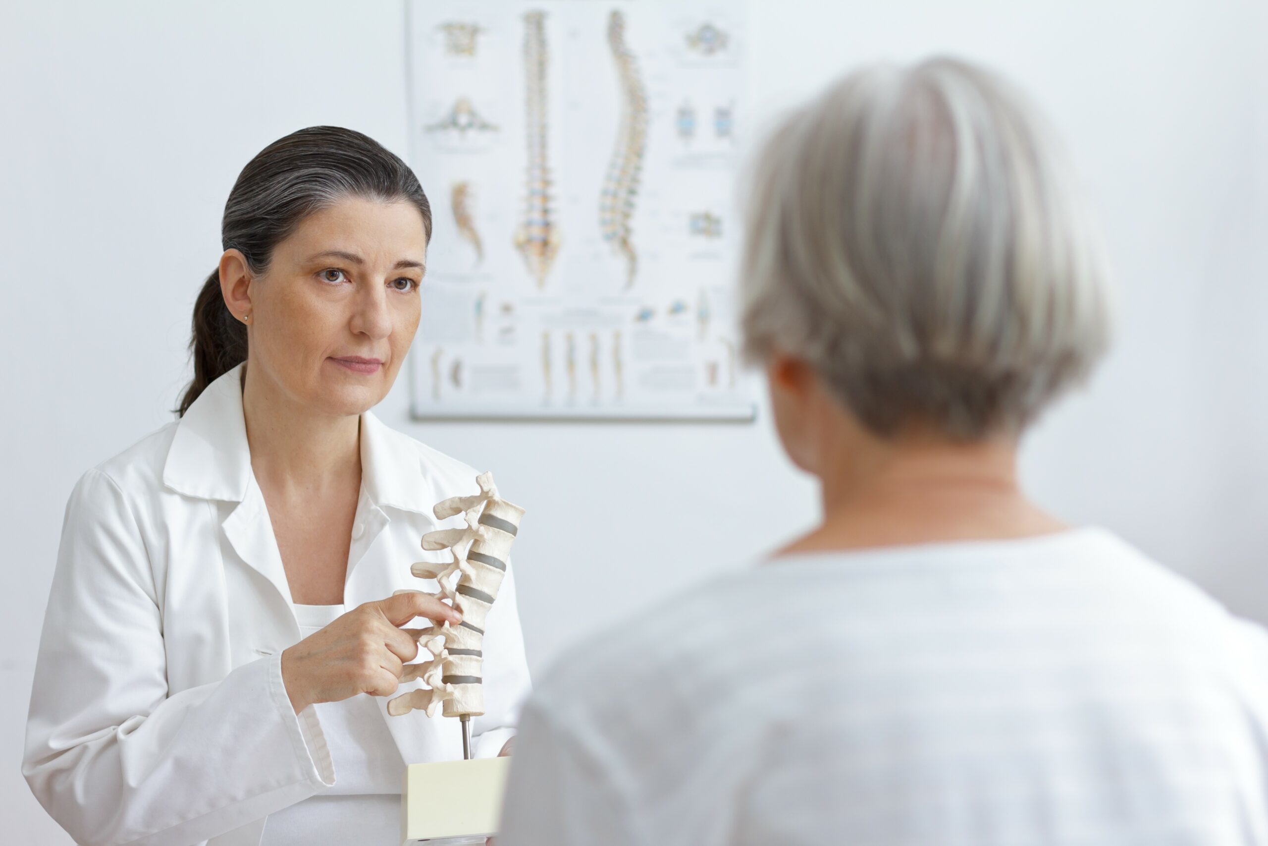 Ärztin erklärt Patientin etwas anhand einer Nachbildung der Wirbelsäule