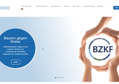 Grafik vom BZKF